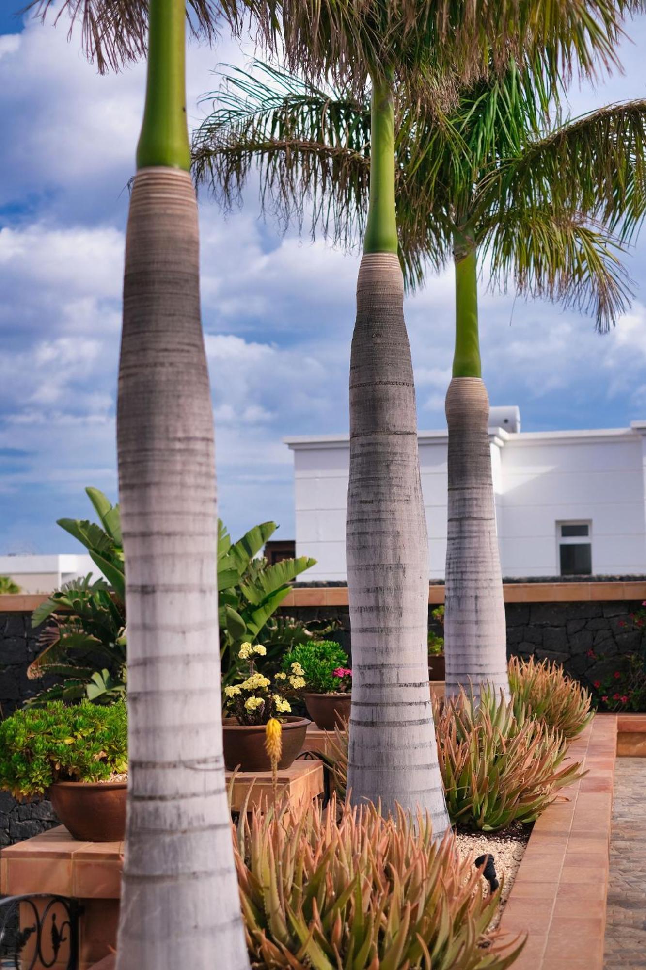 Casa Mia Casa de hóspedes Puerto Calero Exterior foto